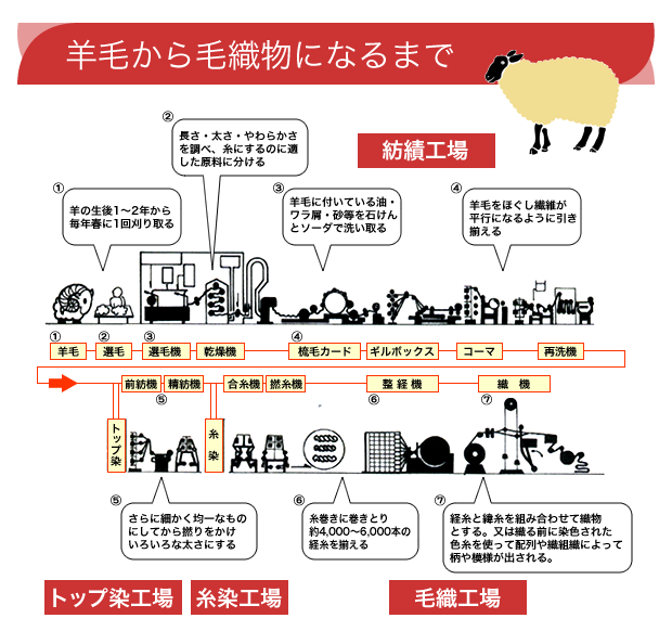 羊毛から毛織物になるまで